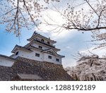 Shiroishi castle with Cherry blossoms and blue sky 