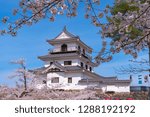 Shiroishi castle with Cherry blossoms and blue sky 