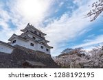 Shiroishi castle with Cherry blossoms and blue sky 