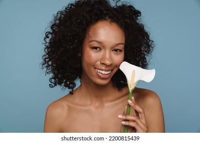 Shirtless Black Woman Laughing While Posing Calla Lily Isolated Over Blue Background