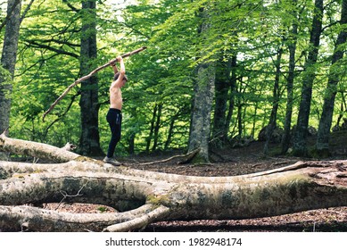 Shirtless boy playing with a stick on a big fallen tree in the forest. Wild kid playing in nature. Developing imagination in childhood concept.
