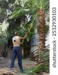 Shirtless gardener, seen from behind, trims a palm tree using a long red pole saw in a lush garden. He wears pants and boots, with a shirt casually draped over his shoulder. Large pruning saw, hacksaw