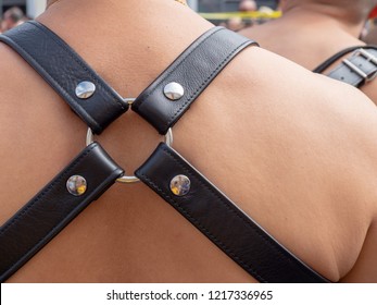Shirtless white man wearing a quad strap leather harness outdoors