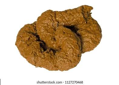 A shit isolated over white. also known as dung, poo, crap, turd