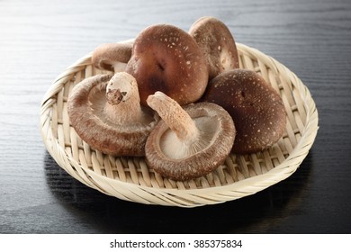 Shitake Mushroom