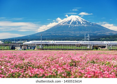 Shizuoka, Japan - May 05, 2017:  JR Shinkansen Train Thundering To Mountain Fuji And Shibazakura At Spring. N700 Bullet Train Transit Between Tokyo And Osaka Operated By Japan Railways Company.