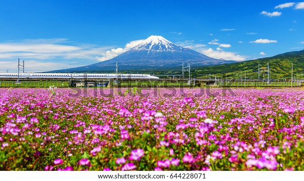 SHIZUOKA,\
JAPAN - MAY 05, 2017:  Shinkansen or Bullet train run pass Mount\
Fuji and Shibazakura at spring. Shinkansen, super high speed\
railway, operated by Japan Railways\
companies.