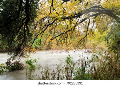 Shoal Creek In Austin Texas