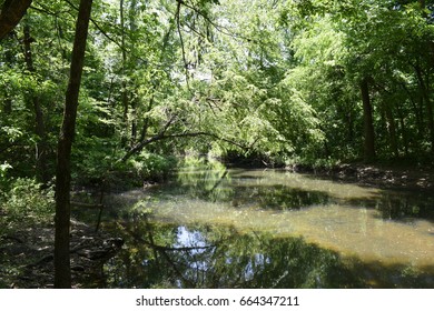 Shoal Creek, Joplin, Missouri