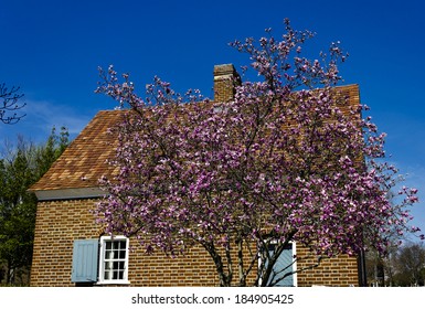 Shober House In Historic Old Salem Museum And Gardens