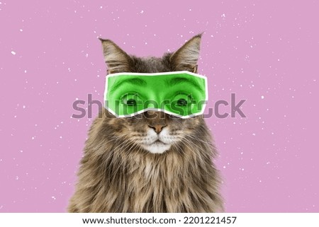 Shock. Creative portrait of cute cat with human eyes expressive different emotion isolated over pink background. Animals with human facial expression. Concept of surrealism, fun, inspiration.