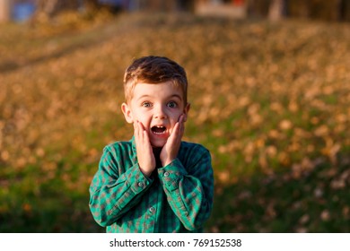A Shocked Boy. A Surprised Boy In Autumn Outside In The Park