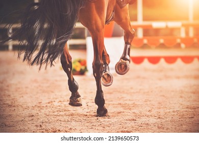 The shod hooves of a galloping bay horse step on the sand of an outdoor arena at equestrian competitions. Horse riding. Equestrian sports.