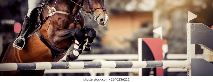 The shod hooves of a horse over an obstacle. The horse overcomes an obstacle. The leg of the rider in the stirrup, riding on a horse. Equestrian sport, jumping. Overcome obstacles.  - Powered by Shutterstock