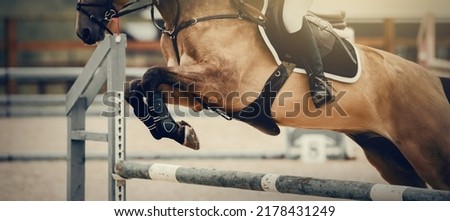 The shod hooves of a horse over an obstacle.The horse overcomes an obstacle.The leg of the rider in the stirrup, riding on a horse. Equestrian sport, jumping. Overcome obstacles. Jumping competition.
