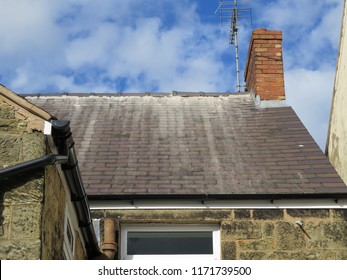Shoddy Roofing Work By Cowboy Builder. Results Of Rogue Worker Posing As Skilled Tradesman. Badly Pointed Ridge Tiles On Slate Roof, Mortar Running Down Tiles.
