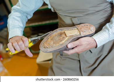 Shoe Maker Preparing A Shoe