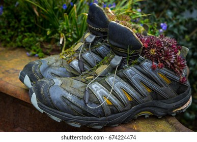412 Shoes Planters Images, Stock Photos & Vectors | Shutterstock