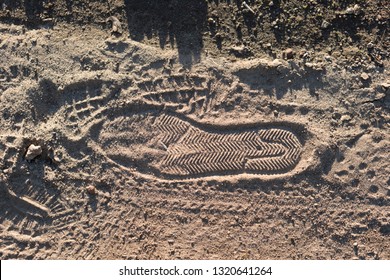 Shoe Print In Sandy Soil, Hiking Trail Closeup With Bike Tire And Footprint Tracks In Dirt. Busy Park Path Showing Bike Tire And Foot Traffic Prints In The Sand. 