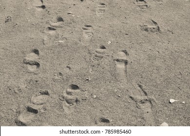 Shoe Prints In Sand