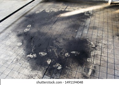 Shoe Tracks In Coal Dust