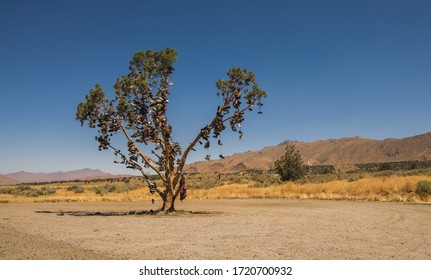 The Shoe Tree on US Highway 50, Churchill County, Nevada - Powered by Shutterstock