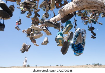 Shoes dangling from the Shoe Tree on Highway 50 in the Nevada desert - Powered by Shutterstock