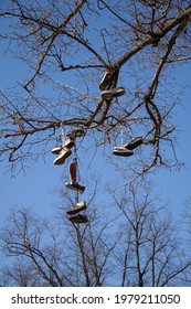 Shoes Hang Down From A Tree By Skatepark Skate Park Has Footwear Tied Together And Strung Over Branches. To Mark A Territory Or An Area Where Drugs Can Be Bought. Copenhagen, Denmark - April 21, 2021