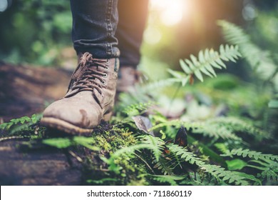 Shoes Man walking on a forest path in autumn and Lifestyle hiking concept.Travel hiking.