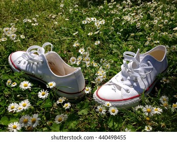 Shoes Off Daisies Out Stock Photo 440498455 | Shutterstock