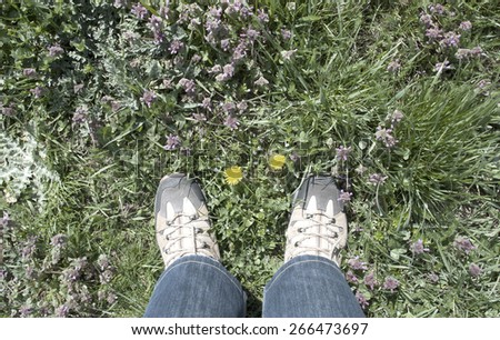 Similar – Blaues Blumenbeet mit blauen Schuhen