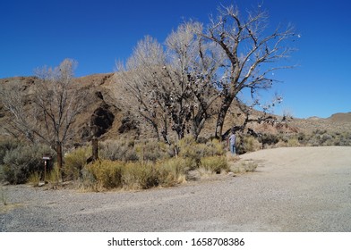 A Shoes Tree In The Desert - Powered by Shutterstock