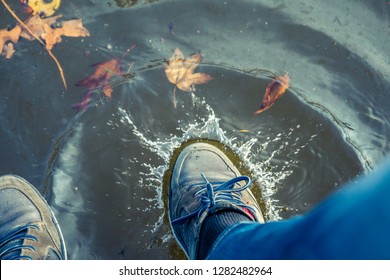 with shoes in the water - Shutterstock ID 1282482964
