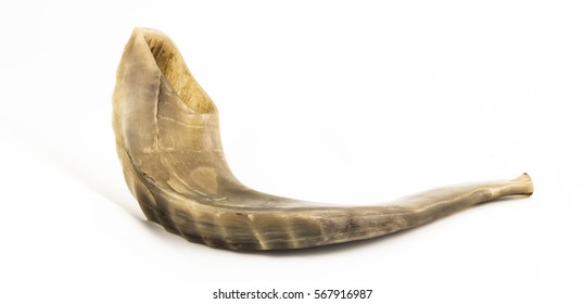 Shofar On White