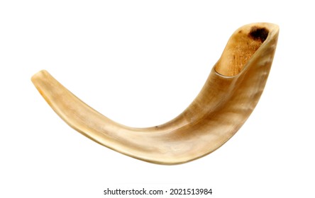 shofar-horn isolated on white. for Rosh hashanah -jewish new year