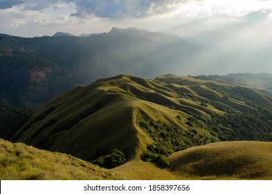 Montane Grassland Images Stock Photos Vectors Shutterstock