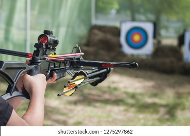 The Shooter Directed The Crossbow Towards The Colored Target. Hit The Target. Shooting Range