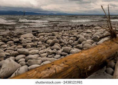 Shooting of driftwood on a pebble beach at Lake Constance. - Powered by Shutterstock