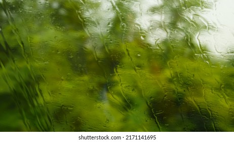 Shooting A Forest Landscape Through The Wet Glass Of A Train Car. Rain Outside The Window And Drops Of Water On The Glass.