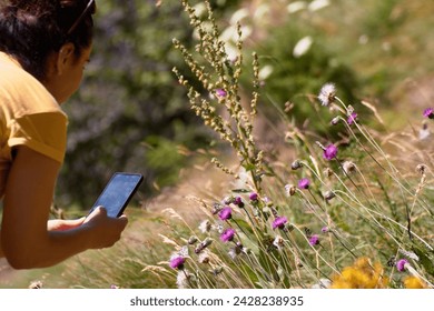 shooting mountain flowers with the smartphone