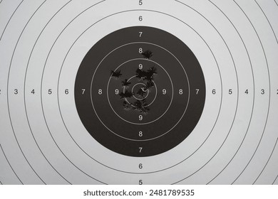 A shooting paper target with bullet holes in the center. Close up. 