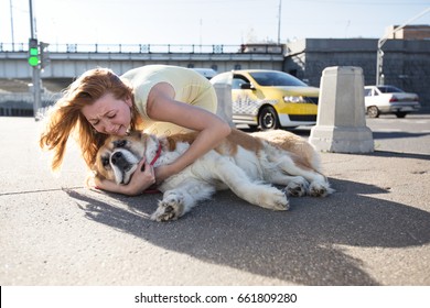 A Shooting Shot. Accident On A Walk In Town With A Dog. The Dog Hit The Car And The Landlady Cries Nearby.