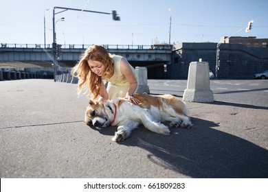 A Shooting Shot. Accident On A Walk In Town With A Dog. The Dog Has A Heat Stroke, It Overheated In The Sun. The Girl Is Trying To Help Her, She Is Crying And Scared.