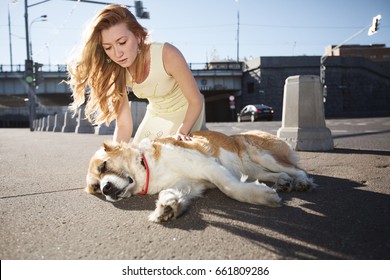 A Shooting Shot. Accident On A Walk In Town With A Dog. The Dog Hit The Car And The Landlady Cries Nearby.