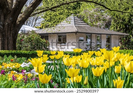 Shooting spring of Ashburton Domain in New Zealand