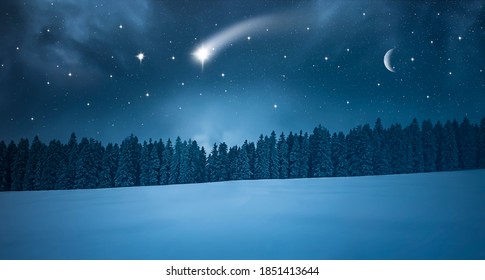 Shooting star on a cold winter night in the forest - Powered by Shutterstock