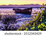 Shooting sunrise of Janie Seddon Shipwreck in New Zealand