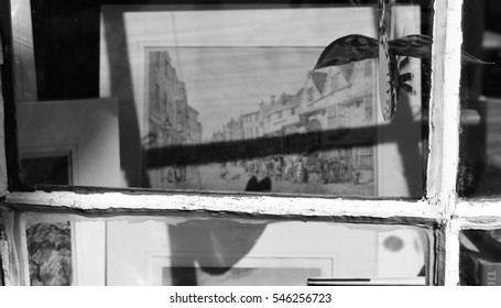 shop window