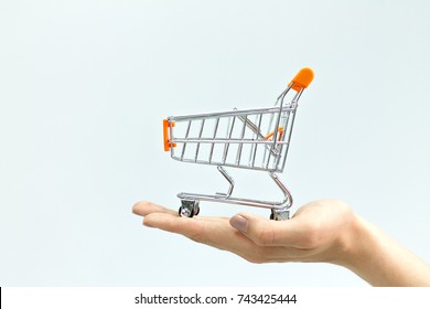 The shopping cart in female hands isolated