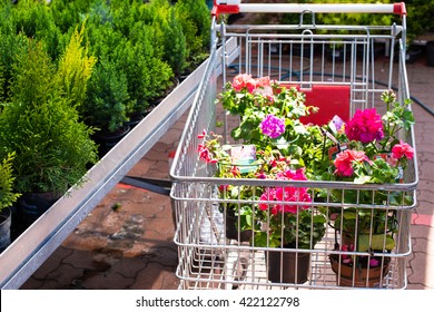 Shopping Cart With Flowers Loaded In Garden Center